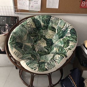 Papasan chair