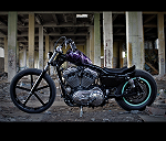 Harley Davidson Sportser