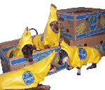 4 banana boxes + me
