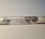 Probowka z mrówkami