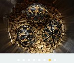 Tortoise x 2