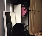  Boxes 6–10, Chest of drawers medium x 1, Floor lamp x 1, Guitar x 2, Bicycle x 1