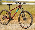Bicicleta Montaña (Marin Bobcat Trail 4 -2020 29')