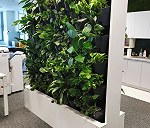Mobilny panel z roślinami