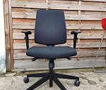 Office chair x 10